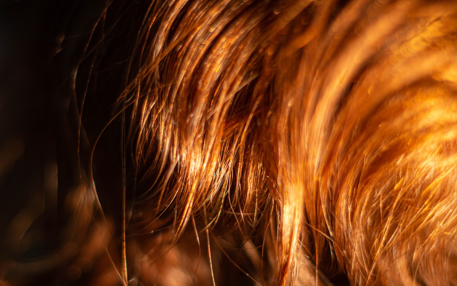capelli rossi tinti tonalità irlandese